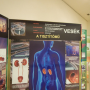 NID-7225_testunk018.jpg