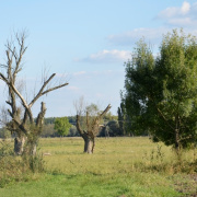 NID-7237_kirandulas075.JPG