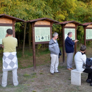 NID-7237_kirandulas246.JPG