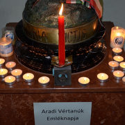 NID-7267_aradi_vertanuk24.JPG