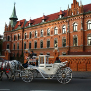 NID-7291_Krakko_PYM22.JPG