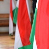 felso08.jpg