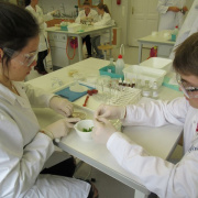 NID-7595_IMG_0036.JPG