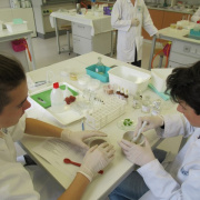NID-7595_IMG_0037.JPG