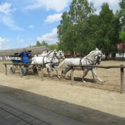 NID-7595_IMG_0294.JPG
