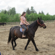NID-7595_IMG_0305.JPG