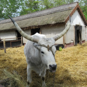 NID-7595_IMG_0309.JPG