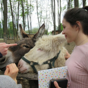 NID-7595_IMG_0321.JPG
