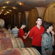 NID-744_osztkir09-2012b-053.jpg