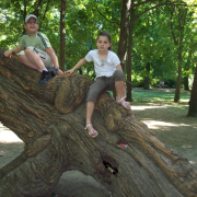2008.06.ho_065.jpg