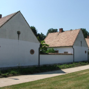 NID-2560_DSCF8082.jpg