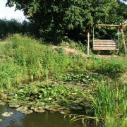 NID-2581_DSCF8963.JPG