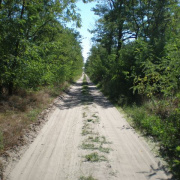 NID-4676_20130907_zarandoklat_08.jpg