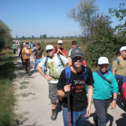 NID-4676_20130907_zarandoklat_09.jpg